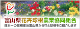 富山県花卉球根農業協同組合