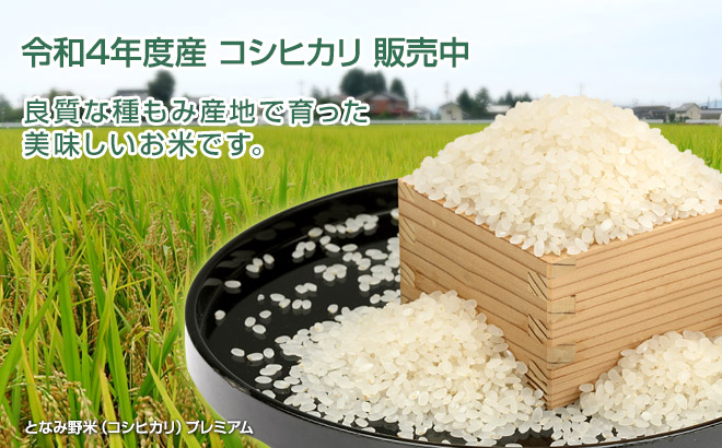 チューリップ 切花 富山県砺波市 株式会社フルール